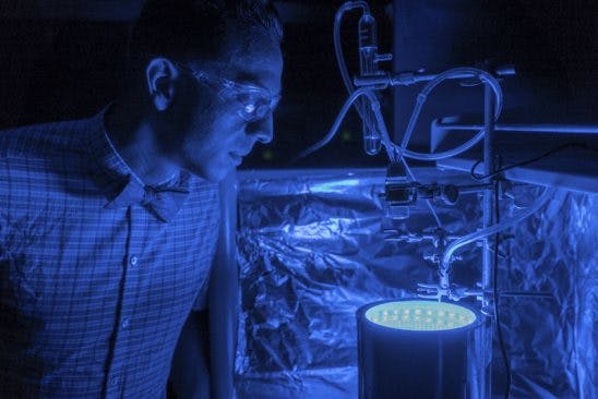 Visible-light photoreactor uses photosynthesis to convert CO2 to