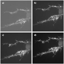 FIGURE 2. A sensitivity comparison done at a 30 ms exposure shows the performance difference between a standard sCMOS (a) and a BSI CMOS (b); a similar sensitivity comparison is done at 100 ms exposure: standard sCMOS (c) vs. BSI CMOS (d). FIGURE 2. A sensitivity comparison done at a 30 ms exposure shows the performance difference between a standard sCMOS (a) and a BSI CMOS (b); a similar sensitivity comparison is done at 100 ms exposure: standard sCMOS (c) vs. BSI CMOS (d).