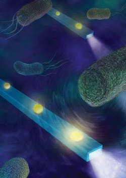 Content Dam Bow Online Articles 2017 05 Nano Afm 900 Web Content Dam Bow Online Articles 2017 05 Nano Afm 900 Web