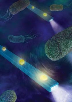 Content Dam Bow Online Articles 2017 05 Nano Afm 900 Web Content Dam Bow Online Articles 2017 05 Nano Afm 900 Web