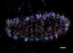 Content Dam Bow Online Articles 2017 05 Salmolla 3web Content Dam Bow Online Articles 2017 05 Salmolla 3web