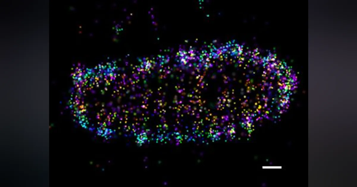Resolution Microbe Super-resolution microscopy shows how cells combat drug-resistant ...