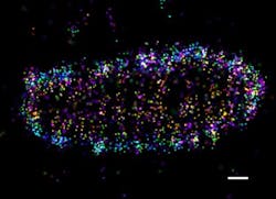 Content Dam Bow Online Articles 2017 05 Salmolla 3web Content Dam Bow Online Articles 2017 05 Salmolla 3web