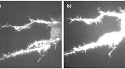 FIGURE 1. Quantum efficiency (QE) compared: an image taken with a camera having a standard 82% QE (a) is contrasted with that for a camera with 95% QE (b), both at a 100-frame average.