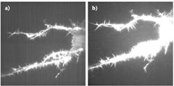 FIGURE 1. Quantum efficiency (QE) compared: an image taken with a camera having a standard 82% QE (a) is contrasted with that for a camera with 95% QE (b), both at a 100-frame average. FIGURE 1. Quantum efficiency (QE) compared: an image taken with a camera having a standard 82% QE (a) is contrasted with that for a camera with 95% QE (b), both at a 100-frame average.