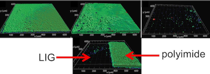 Rice, Ben-Gurion universities show laser-induced graphene kills bacteria, resists biofouling