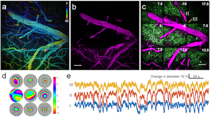 Adaptive-optical brain-imaging system uses multi-pupil prism arrays
