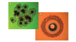 FIGURE 1. Examples of laser-induced damage at a clustered defect site (a) and at an isolated defect site (b) are shown. FIGURE 1. Examples of laser-induced damage at a clustered defect site (a) and at an isolated defect site (b) are shown.