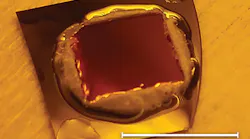 FIGURE 1. The semiconductor membrane is shown glued to the silicon carrier wafer.