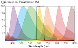 FIGURE 3. Illustrating the fluorophore spillover problem, the emissions of seven popular violet-excitable dyes (color curves) are shown on the portion of the spectrum most accessible to conventional flow cytometers (around 400-800 nm). The black curve shows the transmission spectrum of a bandpass filter designed to capture light from the center fluorophore (yellow). The long emission tails of neighboring dyes (blue, green, orange curves) contaminate this measurement and cause compensation headaches. The data is modeled with Semrock SearchLight software. FIGURE 3. Illustrating the fluorophore spillover problem, the emissions of seven popular violet-excitable dyes (color curves) are shown on the portion of the spectrum most accessible to conventional flow cytometers (around 400-800 nm). The black curve shows the transmission spectrum of a bandpass filter designed to capture light from the center fluorophore (yellow). The long emission tails of neighboring dyes (blue, green, orange curves) contaminate this measurement and cause compensation headaches. The data is modeled with Semrock SearchLight software.