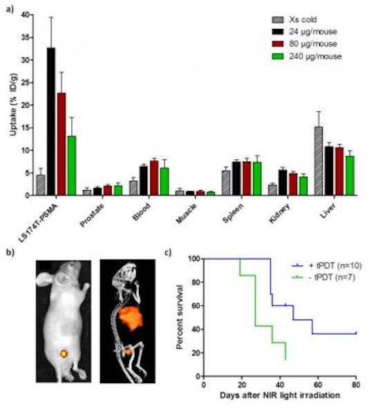 This is a characterization of an In-111-labeled anti-PSMA antibody-photosensitizer conjugate for targeted photodynamic therapy of PSMA-expressing tumors.