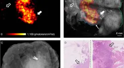 Content Dam Bow Online Articles 2017 06 Figure 1496329358054 6 Web