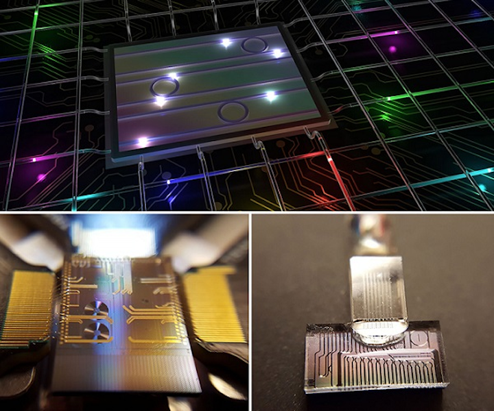 Color-entangled photon states from a photonic chip are manipulated and transmitted via telecommunications systems (top). The photonic chip is used to generate color-entangled photon pairs (lower left). The same photonic chip is connected to optical fiber, allowing the quantum state manipulation with standard telecommunications components (lower right). (Image credit: INRS University/Michael Kues)