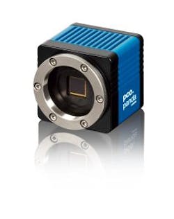 Content Dam Lfw Online Articles 2017 06 Pco panda W O Lens Content Dam Lfw Online Articles 2017 06 Pco panda W O Lens