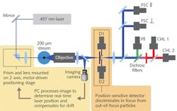 FIGURE 3. The spatial and spectral discriminators of the SeaFlow allow the instrument to characterize the size and pigment content of every cell, leading to an unambiguous identification of each cell measured. FIGURE 3. The spatial and spectral discriminators of the SeaFlow allow the instrument to characterize the size and pigment content of every cell, leading to an unambiguous identification of each cell measured.