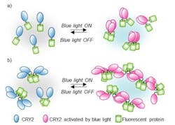 Fig 1 For Pr Web Fig 1 For Pr Web