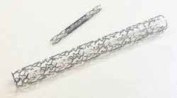 FIGURE 1. Examples of common features in modern stents.