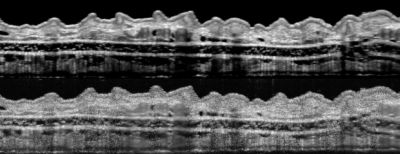 Content Dam Bow Online Articles 2017 07 Oct Web