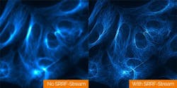 Content Dam Bow Online Articles 2017 07 Srrf Pr 002 Content Dam Bow Online Articles 2017 07 Srrf Pr 002