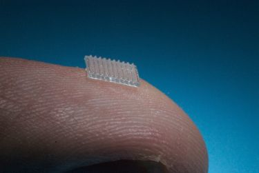 Content Dam Ils Online Articles 2017 07 Blueacre2web