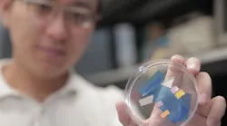 Researcher Zhenyang Xia holds a dish containing germanium-film photodetector samples. The sample colors vary depending on what wavelength they are tuned to absorb.