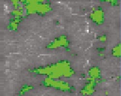 Content Dam Bow Online Articles 2017 08 200210 Ulf Ahlgren Genrebild Web Content Dam Bow Online Articles 2017 08 200210 Ulf Ahlgren Genrebild Web