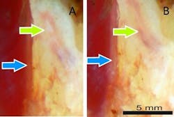 Content Dam Bow Online Articles 2017 08 Boex 286405 Paper Image Content Dam Bow Online Articles 2017 08 Boex 286405 Paper Image