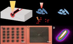 In the process of laser-induced soil decontamination (upper), laser generated patterns (B and C) are used to zap an area of soil. An infrared image (D) shows temperature distribution along the track of the laser movement. In the process of laser-induced soil decontamination (upper), laser generated patterns (B and C) are used to zap an area of soil. An infrared image (D) shows temperature distribution along the track of the laser movement.