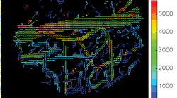 Analysis of high-resolution intravital z-section imagery enables generation of 3D flow maps depicting the microvascular network in a healthy mouse brain; velocity is noted in μm/s.