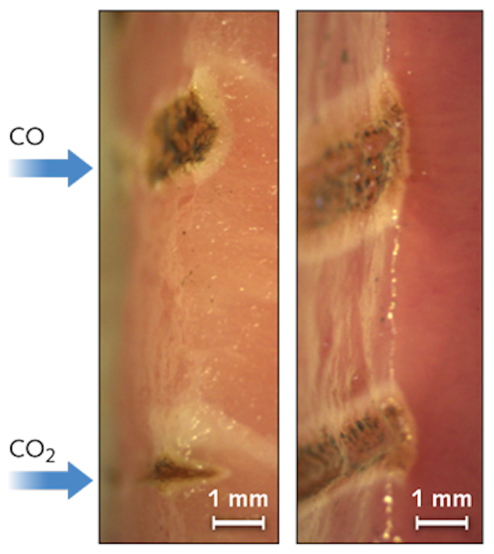 Medical Lasers Carbon Monoxide Laser Shows Surgical Potential