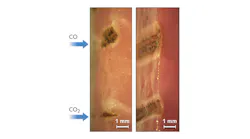 Porcine tissue samples from fatty muscle (left) and heart muscle (right) cut with light from CO (top) and CO2 (bottom) lasers operating at an 8 W output at a speed of 4 mm/s are compared, with the beam focused 2 mm below tissue surface in all cases; the white zone shows the extent of coagulation. These cross-sectional microscope images were taken after perpendicular cuts with a scalpel.