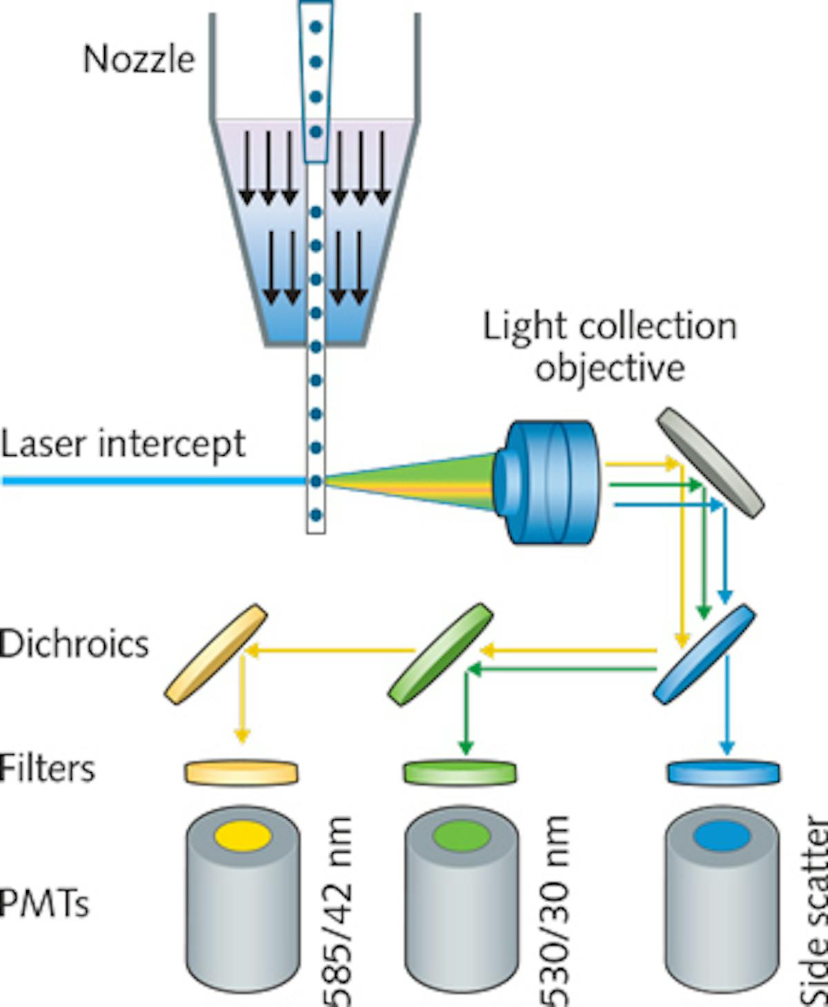 Lasers for the Biosciences Novel ultraviolet 320 nm laser source