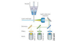 FIGURE 1. A schematic shows the operation of a basic flow cytometer. Cells are introduced into a laser beam in a liquid stream by hydrodynamic focusing, either with a nozzle or enclosed quartz flow cell. Signal collection optics collect excited fluorescence signals, which are steered to PMTs using dichroic mirrors and narrow bandpass filters. Modern instruments can utilize fiber optics for both laser delivery and signal collection.