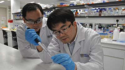 Content Dam Bow Online Articles 2017 09 2017 0918 Ala Artemisinin Web