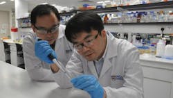 Content Dam Bow Online Articles 2017 09 2017 0918 Ala Artemisinin Web Content Dam Bow Online Articles 2017 09 2017 0918 Ala Artemisinin Web