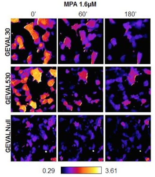 Content Dam Bow Online Articles 2017 09 Fluorescent Sensors Release Image Web