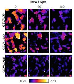 Content Dam Bow Online Articles 2017 09 Fluorescent Sensors Release Image Web Content Dam Bow Online Articles 2017 09 Fluorescent Sensors Release Image Web