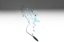 Content Dam Bow Online Articles 2017 09 Sperm Array Web Content Dam Bow Online Articles 2017 09 Sperm Array Web