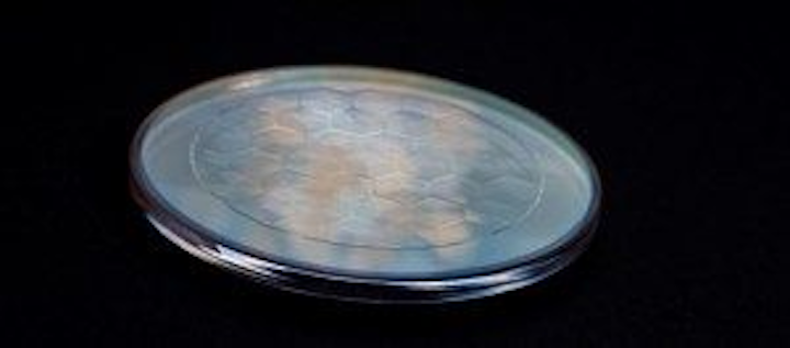 Micro-optics maker PowerPhotonic announces major expansion plans