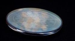 A fused-silica axicon array beam shaper made by PowerPhotonic is used with multimode lasers and handles peak and pulsed power of up to 20 kW continuous-wave (CW). The beam shaper has an efficiency of greater than 98% and can be used to generate ring-shaped spots—a typical requirement for materials processing applications. A fused-silica axicon array beam shaper made by PowerPhotonic is used with multimode lasers and handles peak and pulsed power of up to 20 kW continuous-wave (CW). The beam shaper has an efficiency of greater than 98% and can be used to generate ring-shaped spots—a typical requirement for materials processing applications.