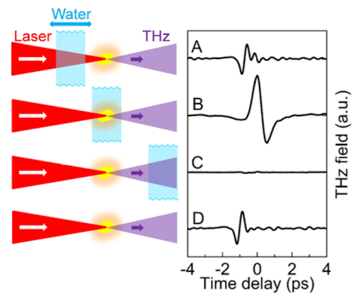 Femtosecond laser pulses produce terahertz radiation from water