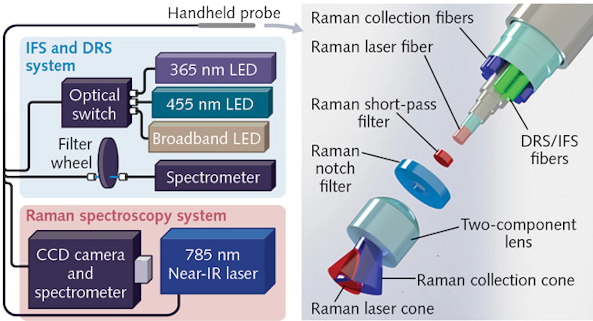Raman Spectroscopy: Spectroscopy system outperforms MRI for invasive ...