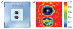 FIGURE 2. In visible light (a) and terahertz-range (100 GHz; b) images of hazelnuts, the terahertz images clearly show that the upper nut is infected with fungus, which is more absorptive in the terahertz spectral range. FIGURE 2. In visible light (a) and terahertz-range (100 GHz; b) images of hazelnuts, the terahertz images clearly show that the upper nut is infected with fungus, which is more absorptive in the terahertz spectral range.
