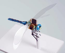 Content Dam Lfw Print Articles 2017 09 1709lfw Nb 1 Content Dam Lfw Print Articles 2017 09 1709lfw Nb 1