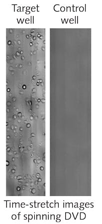 FIGURE 4. A STEAM image (left) shows human breast adenocarcinoma and blood cells in a DVD well, compared to a control STEAM image (right) of a well without cells; the linear velocity of the DVD in both cases was 4 m/s. FIGURE 4. A STEAM image (left) shows human breast adenocarcinoma and blood cells in a DVD well, compared to a control STEAM image (right) of a well without cells; the linear velocity of the DVD in both cases was 4 m/s.