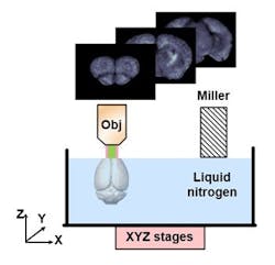 Content Dam Bow Online Articles 2017 10 Cryo Most Content Dam Bow Online Articles 2017 10 Cryo Most