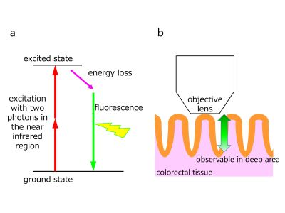 Content Dam Bow Online Articles 2017 10 Figure1web