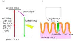 Content Dam Bow Online Articles 2017 10 Figure1web