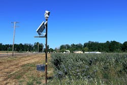 Bird Control Group focuses on using lasers to divert flying pests from valuable crops like blueberries.