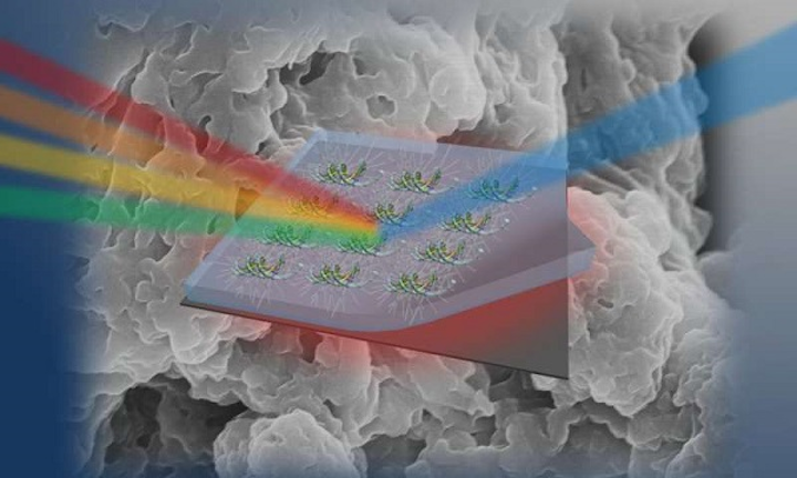 Researchers have learned to control the index of refraction in organic thin films made out of DNA. (Image credit: Kyunghwan Oh/Yonsei University)